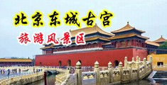18厘米大鸡把操美女逼视频中国北京-东城古宫旅游风景区